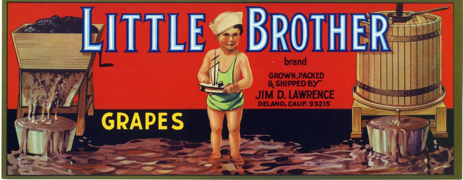 Little Brother